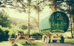 Gypsy Caravans Wishingwood