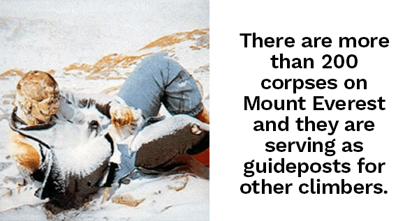 Bodies On Mount Everest