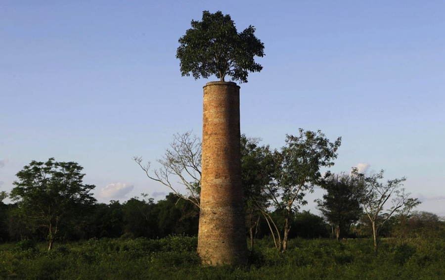 Abandoned Structures In Paraguay