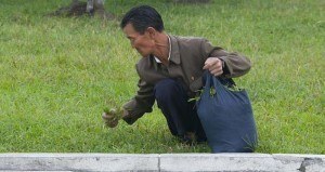 North Korea Photographs