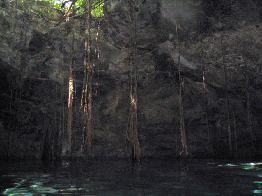 Sunlit Sinkhole