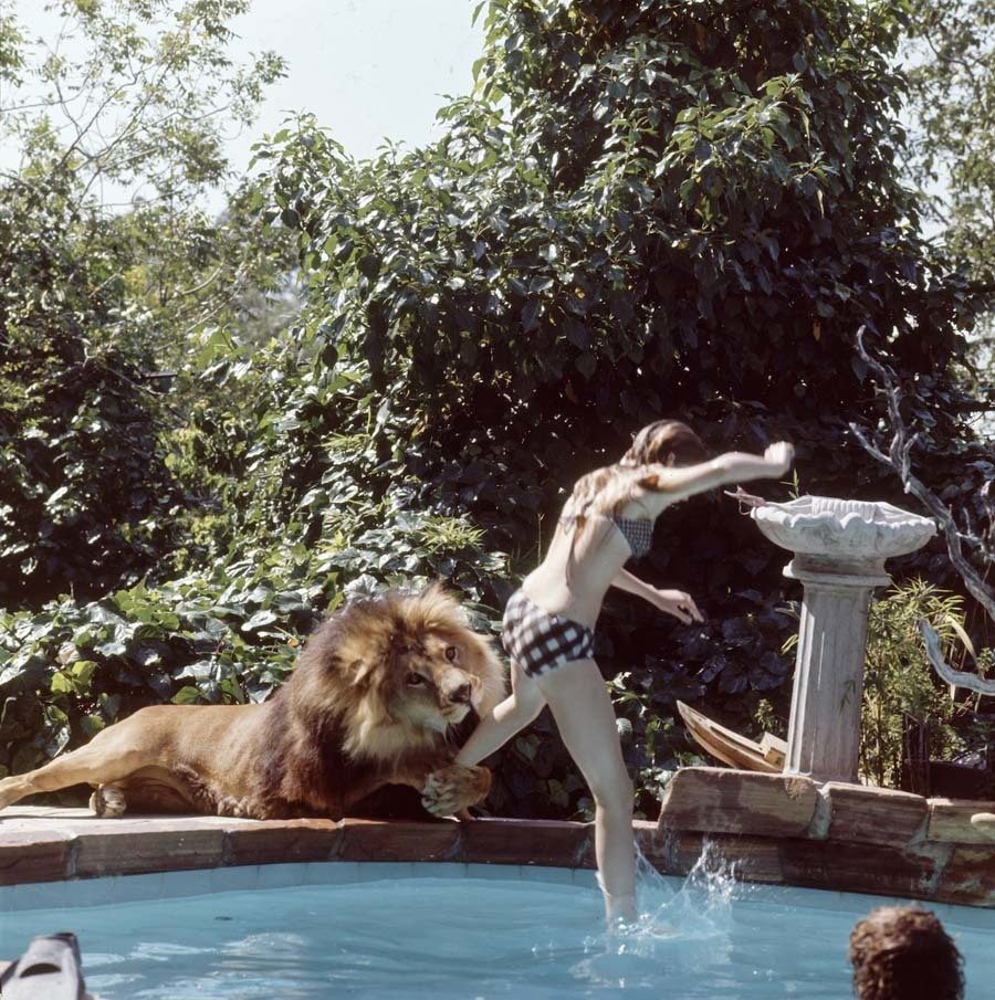 Pool Jump