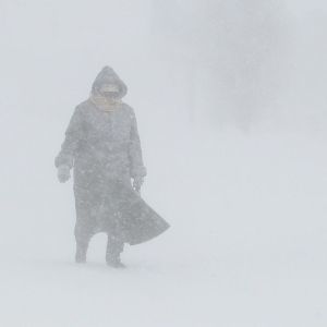 A lone resident of Buffalo braves the storm.