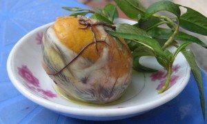 Gross Food Vietnam Balut