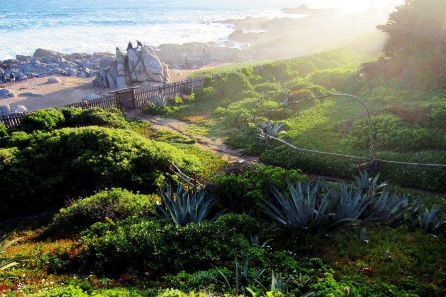 Neruda Homes Isla Beach