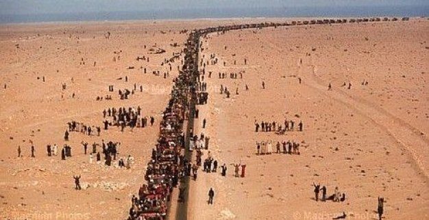 Polisario Green March