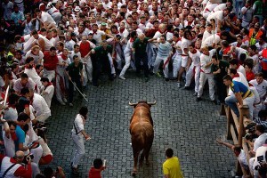 San Fermin Bulls