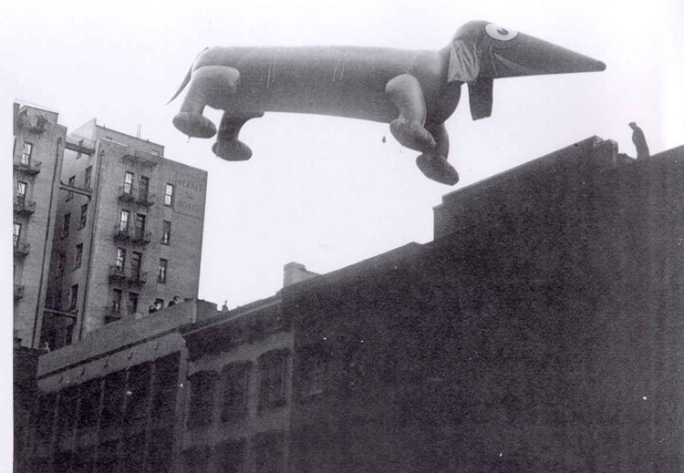 Vintage Macys Thanksgiving Day Parade Photos Dachshund