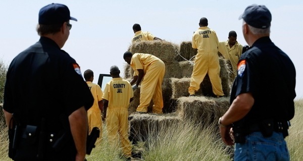 Prisoners Loading Hay