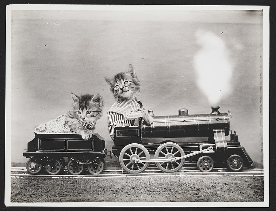 Train Ride