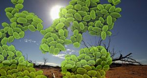 A Home Destroyed By Beach Erosion Lies O