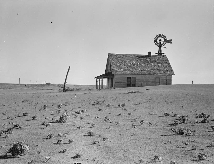 Dust Bowl Pictures House Dust