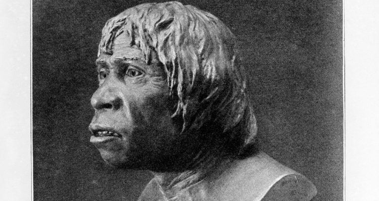 Bust Piltdown Man Exhibit Hoax