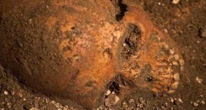 Florida Skull Dirt Head