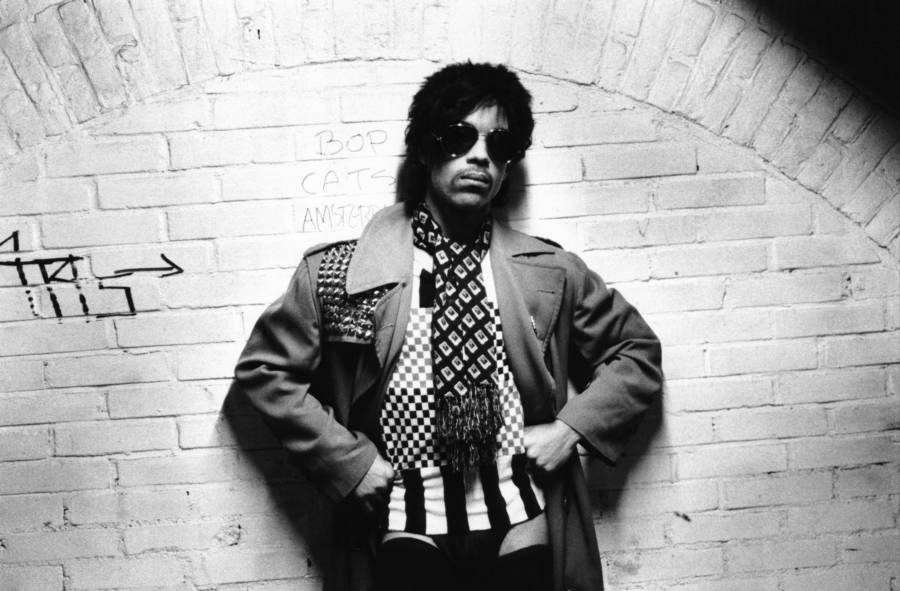 Prince Stripes