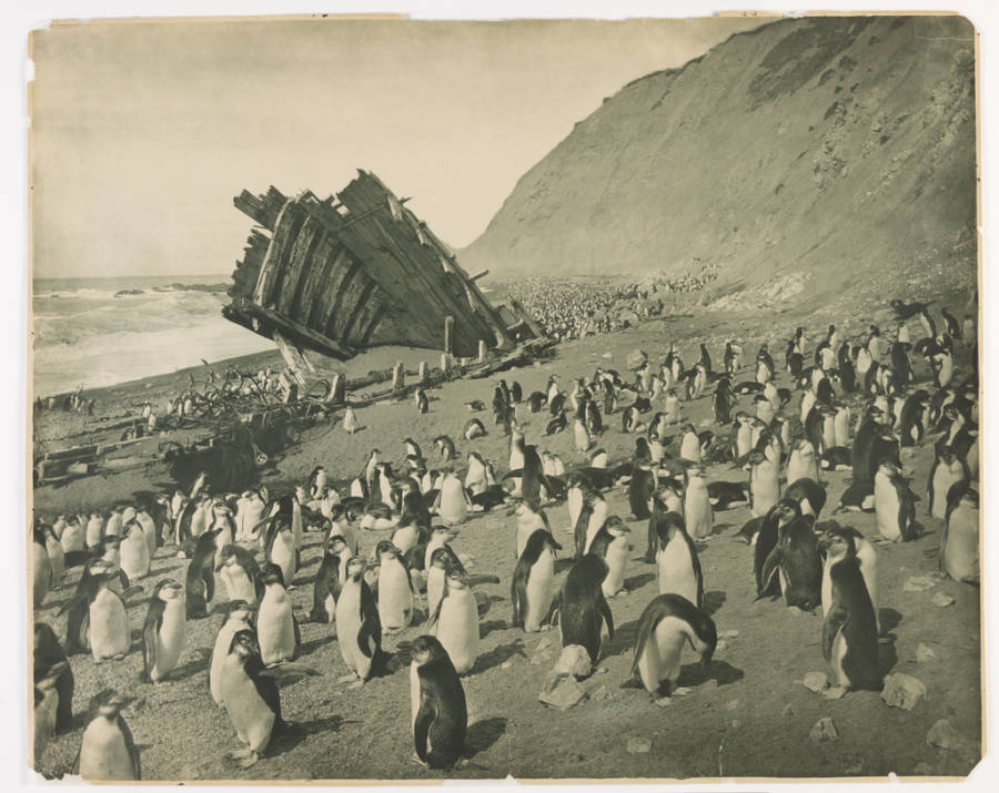 Wreck Of The Gratitude