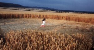 Crop Circles Featured