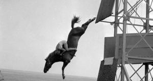 Diver Horse