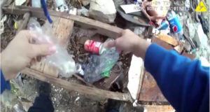 Planted Drugs Baltimore Cropped