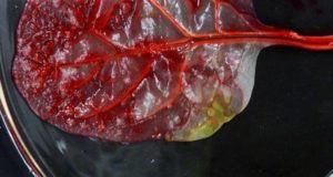 Spinach Leaf Heart Cropped