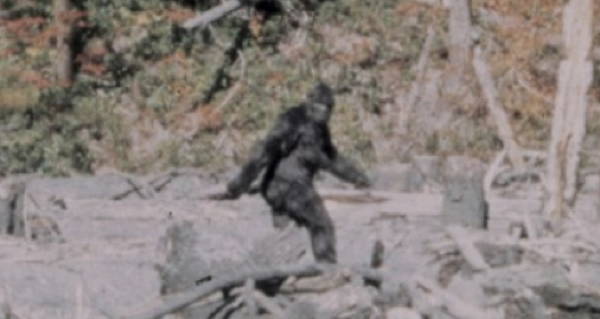 Bigfoot Walking