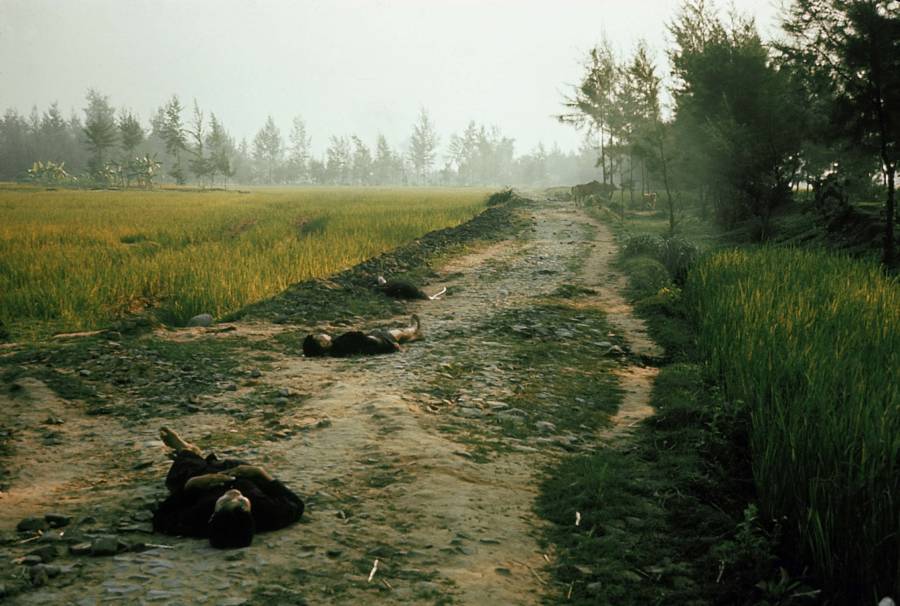 Bodies In Grass