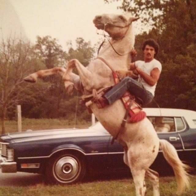 Vintage Photos Horse Wheelie