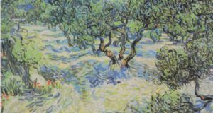 Vang Gogh Olive Orchard Og
