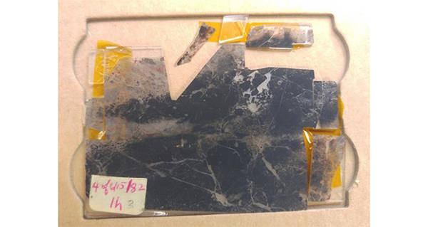 Oldest Ever Fossils Og