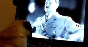 Dog Watching Hitler