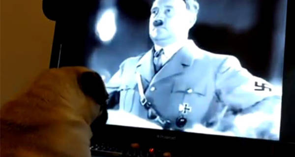 Dog Watching Hitler