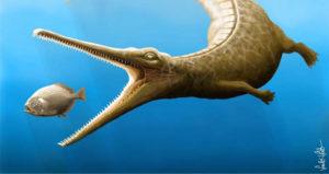 Toothy Dolphin Crocodile