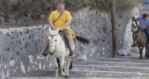 Man On Donkey