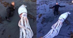 Men Posing With Squid