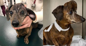 Patches Before And After Og2