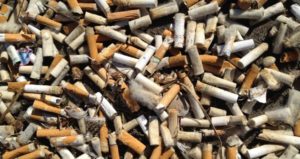 Cigarette Butts