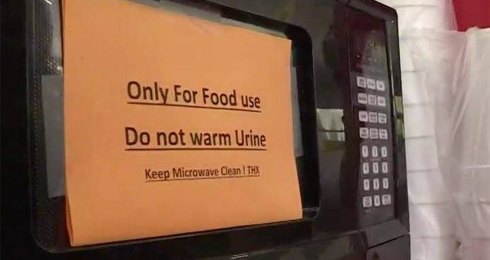 No Urine