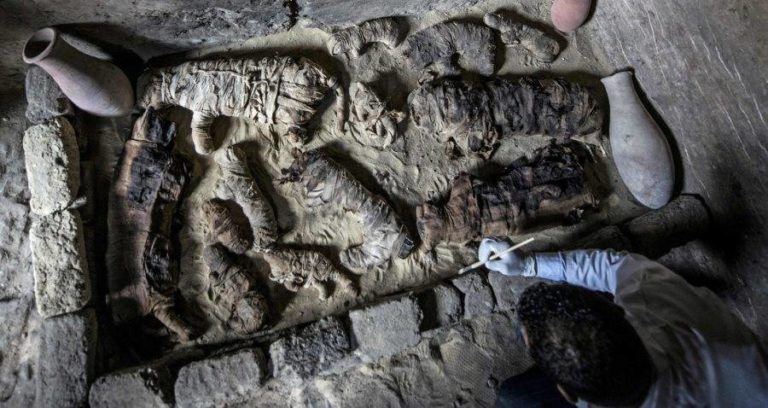 Mummified Cats Ancient Egypt