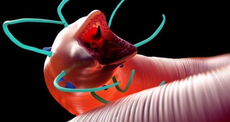 Ancient Reanimated Worms 1