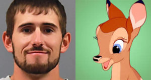 Berry V Bambi
