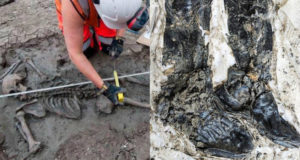 Man Unearthed With Leather Boots