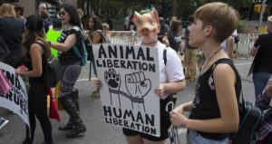 Peta Protest