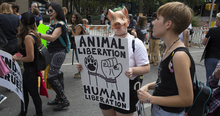 Peta Protest