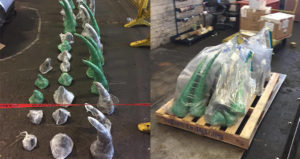 Rhino Horn Side By Side