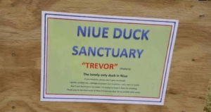Trevor The Duck Wood Sign