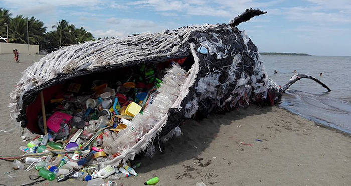 Greenpeace Whale Art Installation