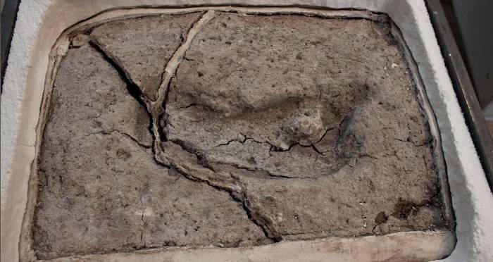 Chile Human Footprint Excavated