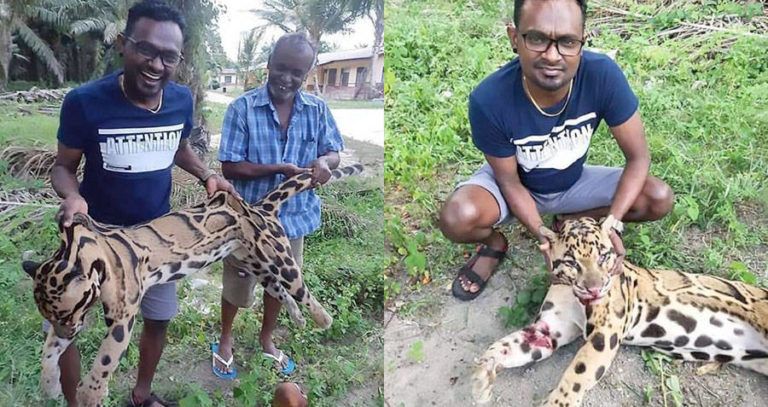 Poachers With Newly Killed Leopard
