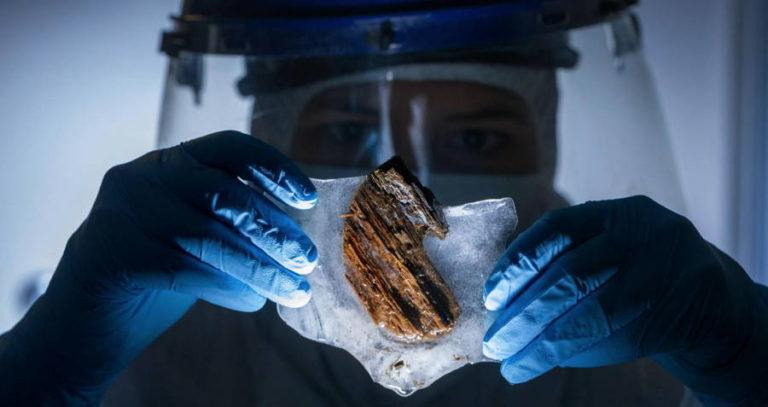 Wood From The Slave Ship Clotilda