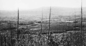 Aftermath Of The Tunguska Event